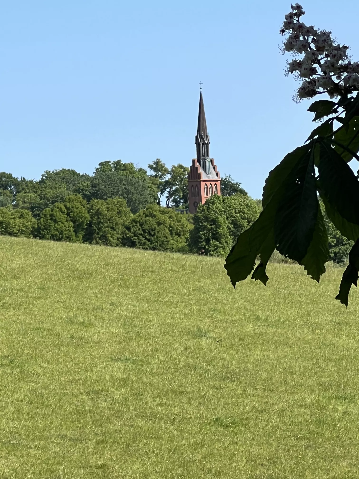 Schlösser Tour Ulrichshusen-Basedow Blick auf Kirche