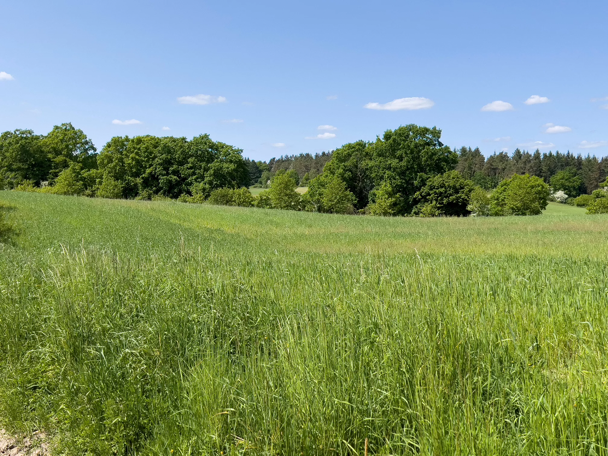 Schloss Tour Ulrichshusen 36 km - weite Sicht